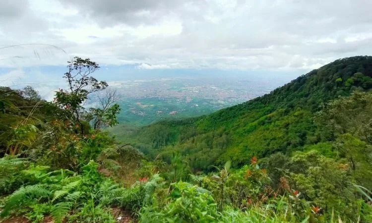 Gunung Manglayang