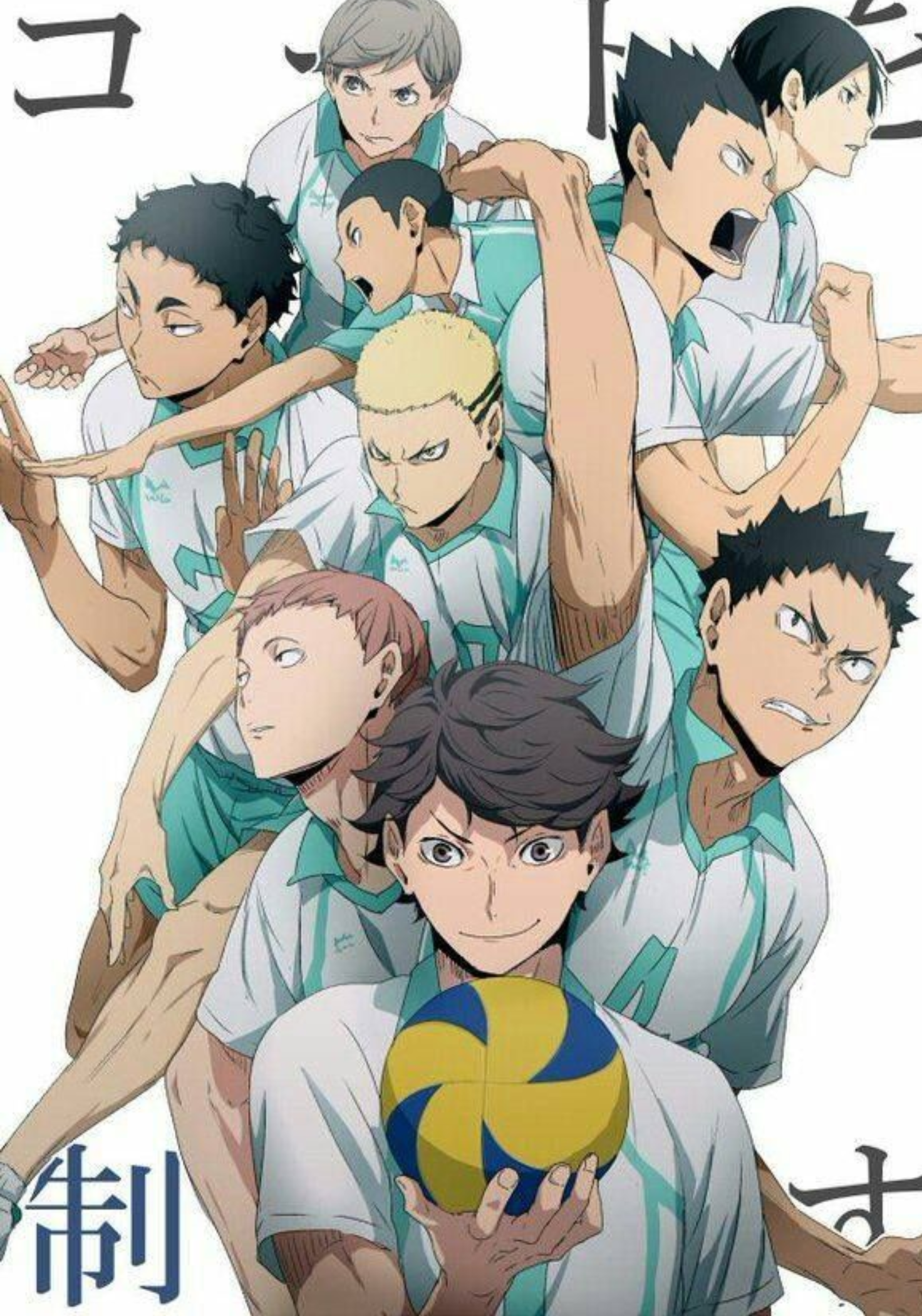 Haikyuu Team