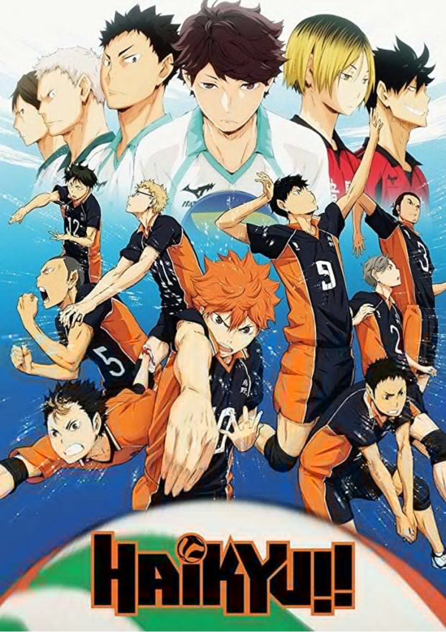 Haikyuu Team