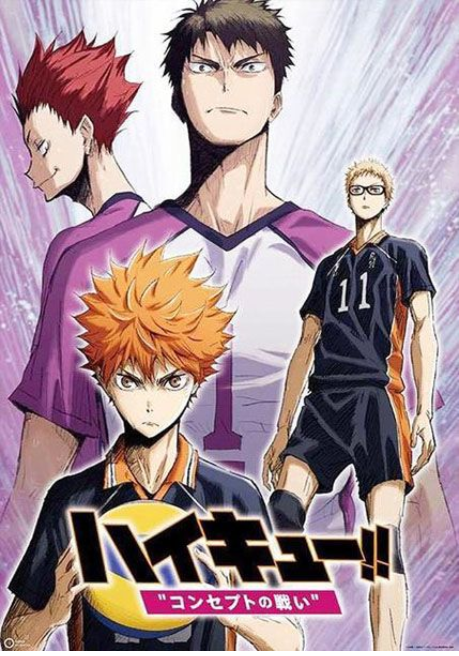 Haikyuu Team