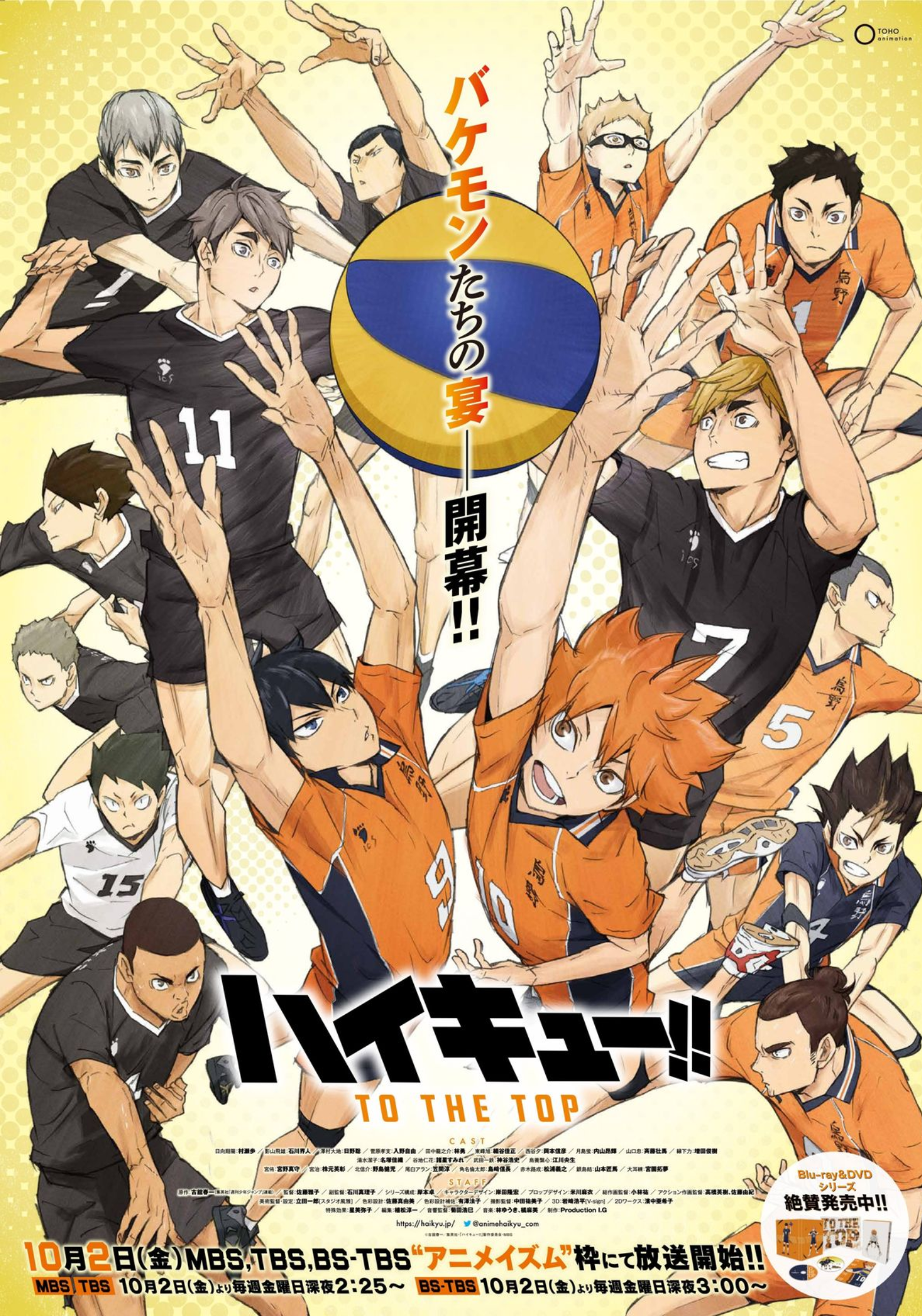 Haikyuu Team