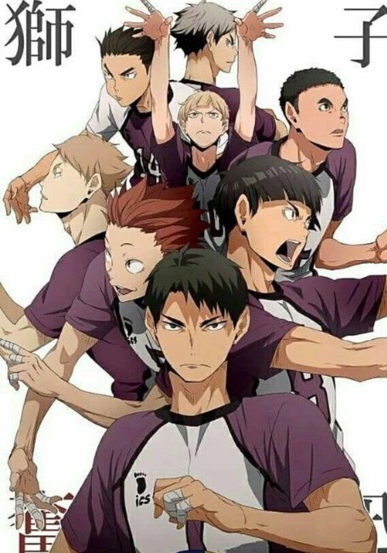 Haikyuu Team